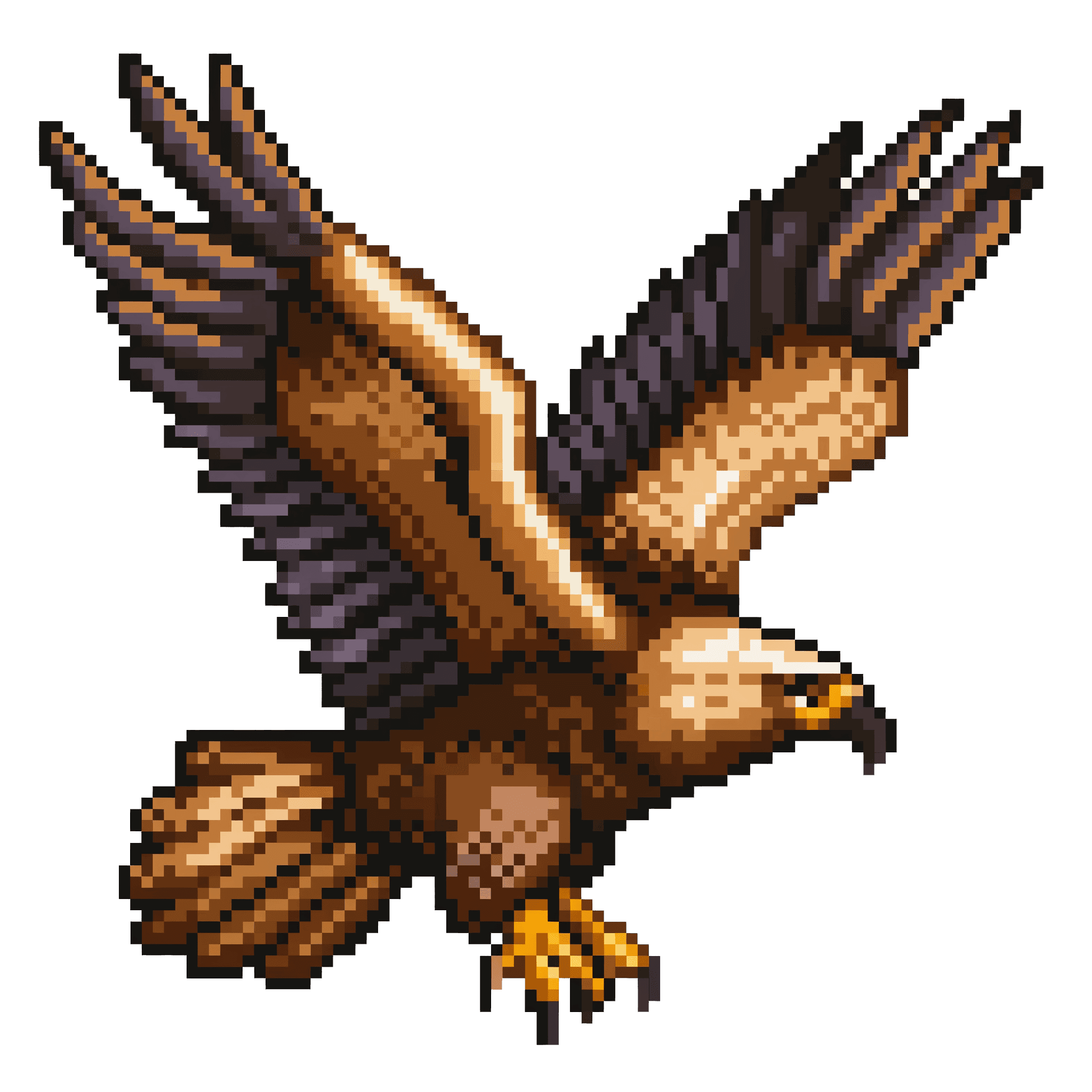 Aquila